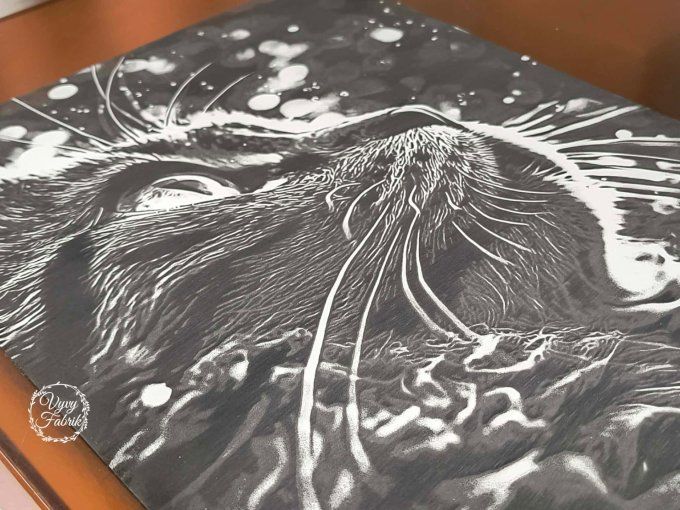 detail gravure laser photo sur plaque acrylique