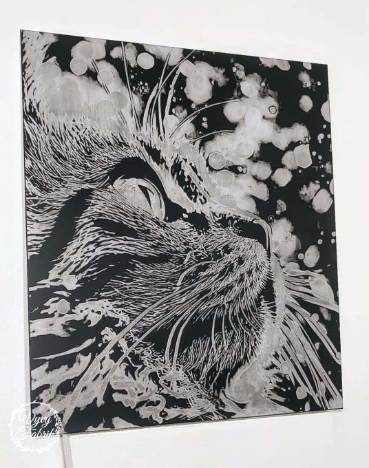 plaque acrylique photo gravee accrochee au mur